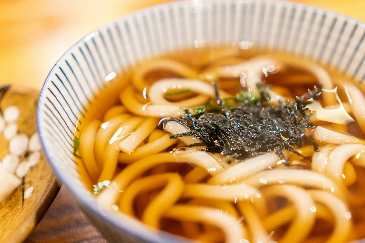 Thick udon noodles in broth