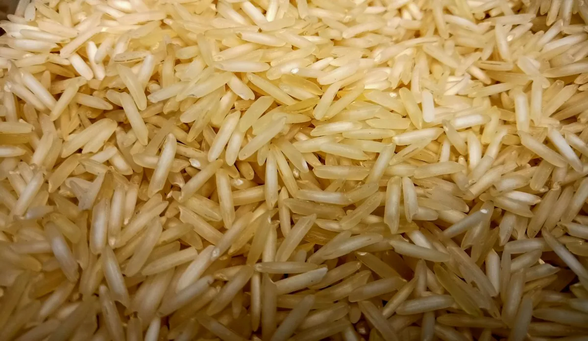 Thin rice vermicelli noodles