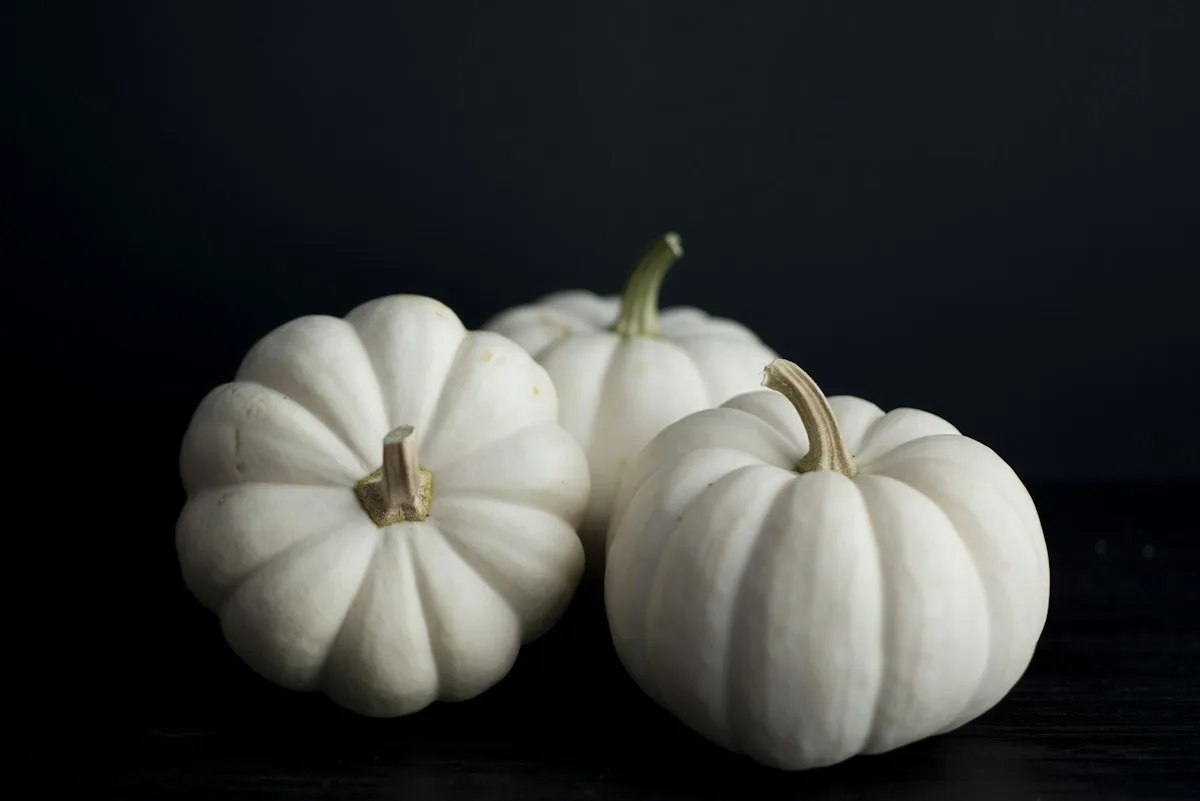 White pumpkins on a dark background
