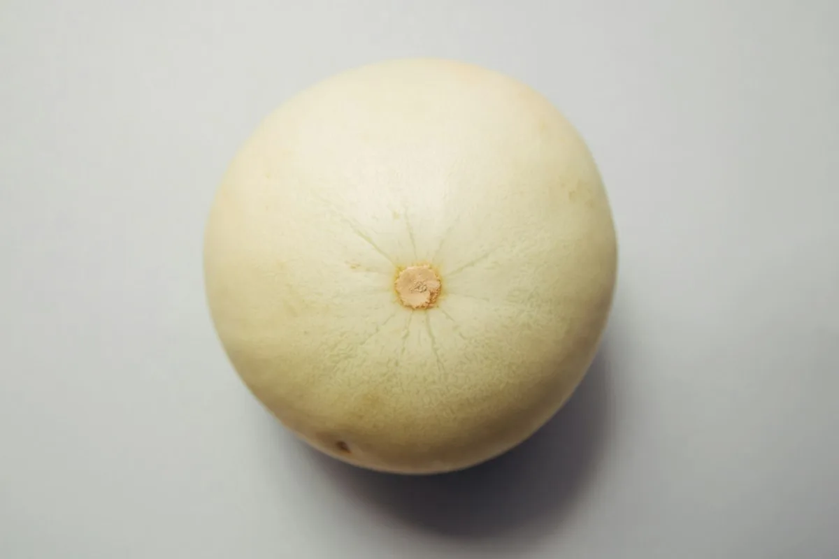 Whole honeydew melon